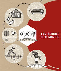 perdida1